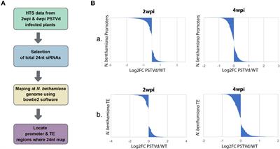 PSTVd infection in Nicotiana benthamiana plants has a minor yet detectable effect on CG methylation